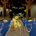 Gala de la Faculté d’Informatique (collaboration ALMIN - Cercle Info)